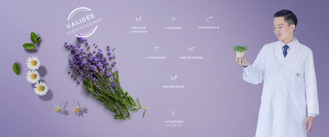 Notre formule multi-actifs