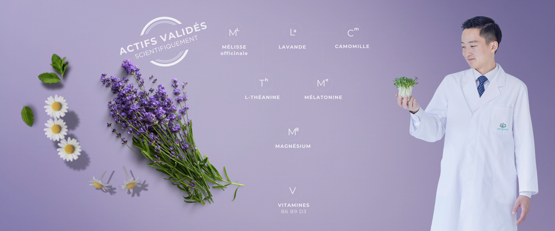 Notre formule multi-actifs